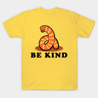 Be Kind T-Shirt